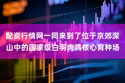 配资行情网一同来到了位于京郊深山中的国家级白羽肉鸡核心育种场