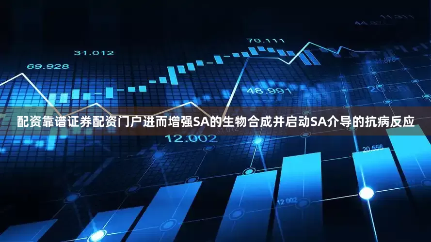 配资靠谱证券配资门户进而增强SA的生物合成并启动SA介导的抗病反应