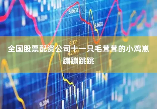 全国股票配资公司十一只毛茸茸的小鸡崽蹦蹦跳跳
