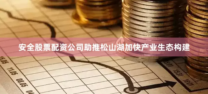 安全股票配资公司助推松山湖加快产业生态构建